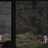 今歌