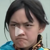 叶丝（投票版）