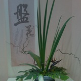 风无痕