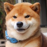二狗