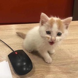 阳光明媚