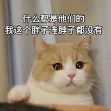 abcdefg