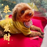 安吉丽娜敏敏