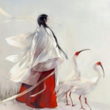 公子九婴