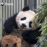 一寸欢喜