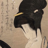 江南楚枫晚