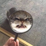 问问你问问呀