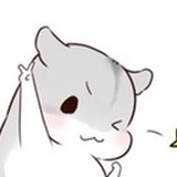 本多lulu