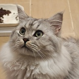 山而