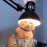 别睡了起来嗨