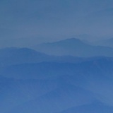 浆果