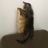 江江江