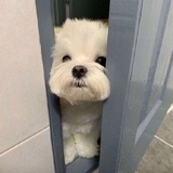 提墨迹