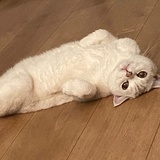 窝窝