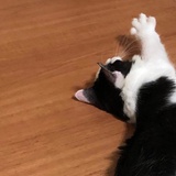 楼