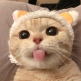 lllllllllllll