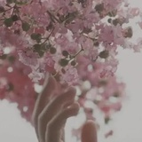 如常
