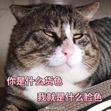 菜依林