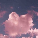 所念皆星河