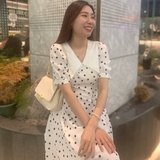 sdlvpanda
