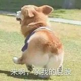 嚯嚯