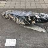 安生