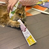 跳水皇后陆依萍