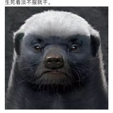 陈稳