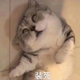 旺仔小牛奶