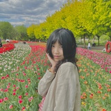 花椰菜爱丽丝