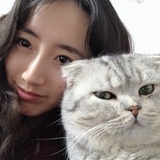开心开心更开心