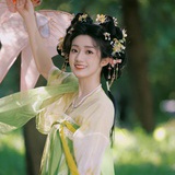 镜罔