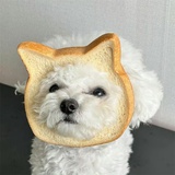 面包狗