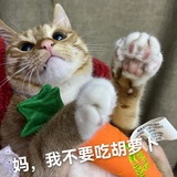 不要再囤了