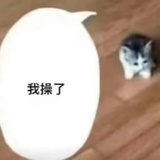 正直女子mayu酱