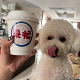 只喝汤不吃饭🫶