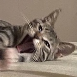 洗洗睡吧