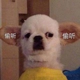 为你而来