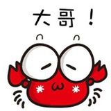 瑶鸢之夏
