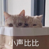 撒在在-神叨叨