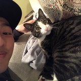 数科