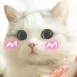 努力努力再努力
