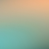 兰若生春夏