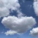 依依附依依