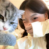 谁动了我的芝士