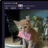 情歌
