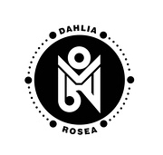 Dahlia Rosea
