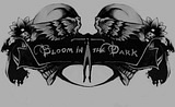 暗绽乐队 Bloom In the Dark