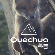 Quechua趣岳