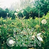 Day Green 日青